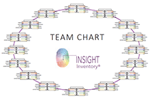 Team Chart, 16 Profiles